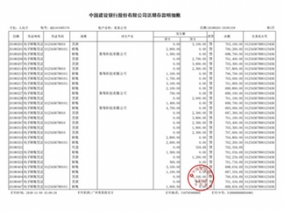 企业对公流水定制案例