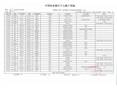 个人银行流水账单流水定制